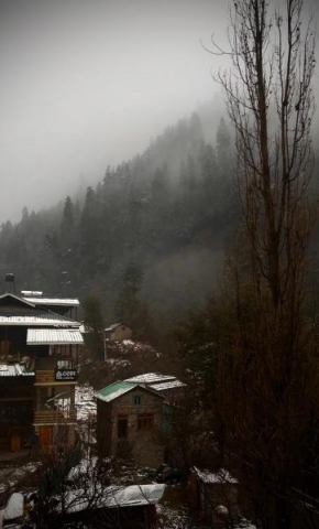 Odin Hostel Jibhi